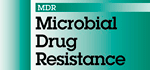 Microbial Drug Resistance (Larchmont, N.Y.)